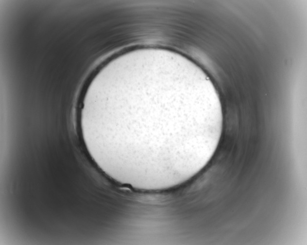 X0000088150932200706042026