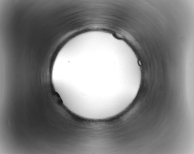 X0000088150934200706042026