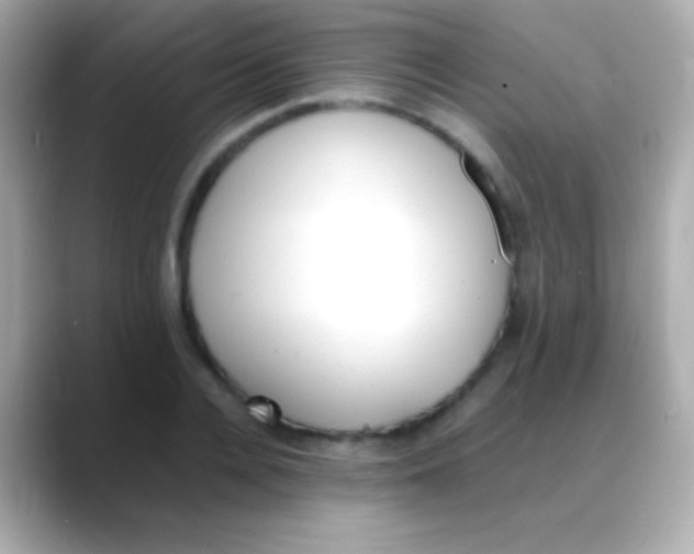 X0000088150936200706042026