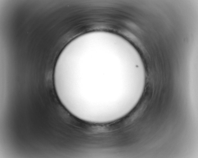 X0000088150937200706042026