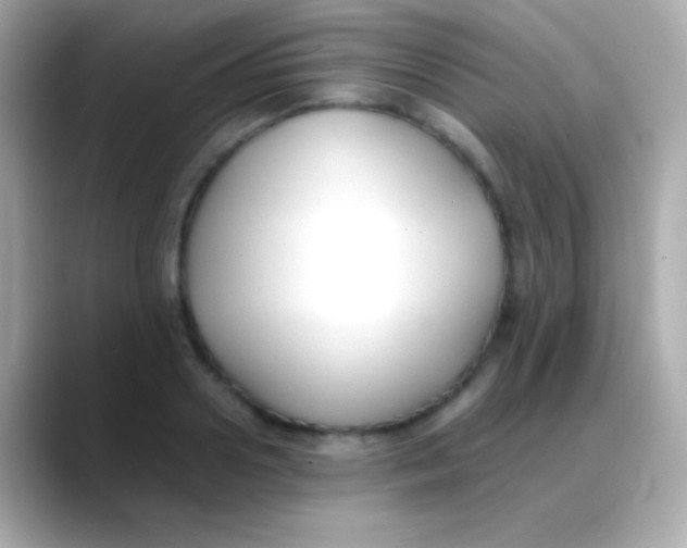 X0000088150938200706042026