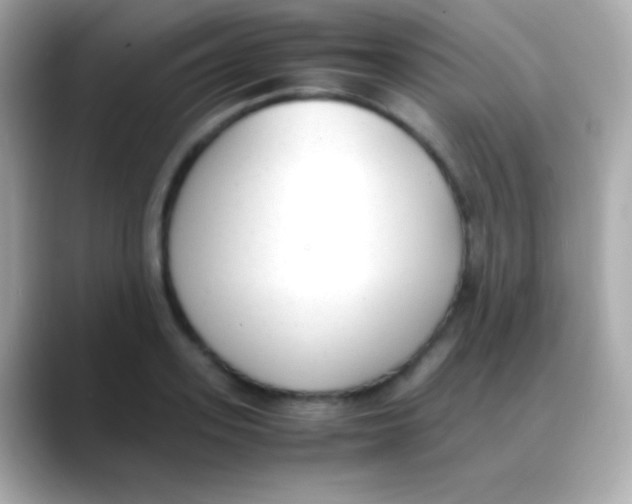 X0000088150939200706042026