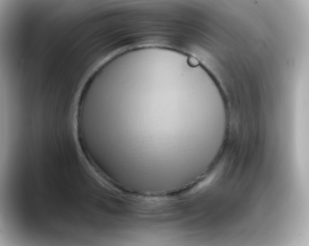 X0000088150941200706042026