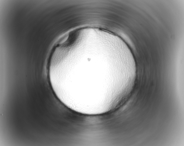 X0000088150944200706042026