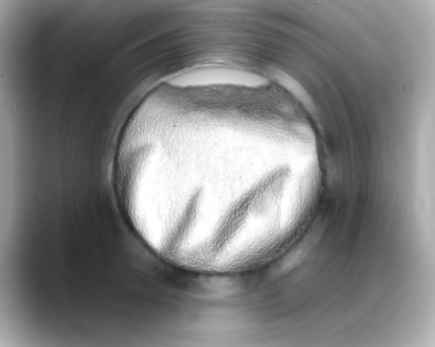 X0000088150946200706042026