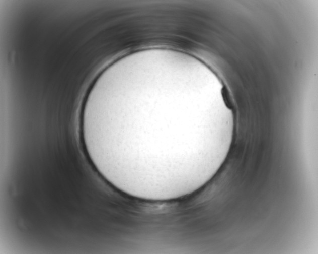 X0000088150949200706042026