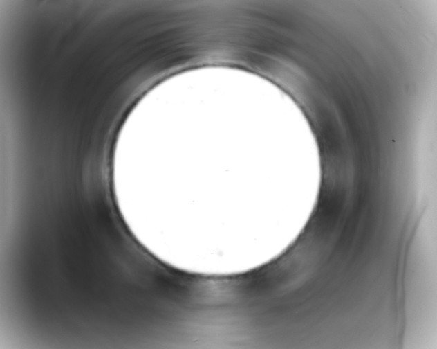 X0000088150950200706042026