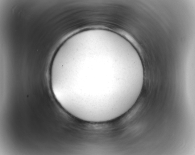 X0000088150951200706042026