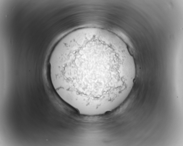 X0000088150952200706042026