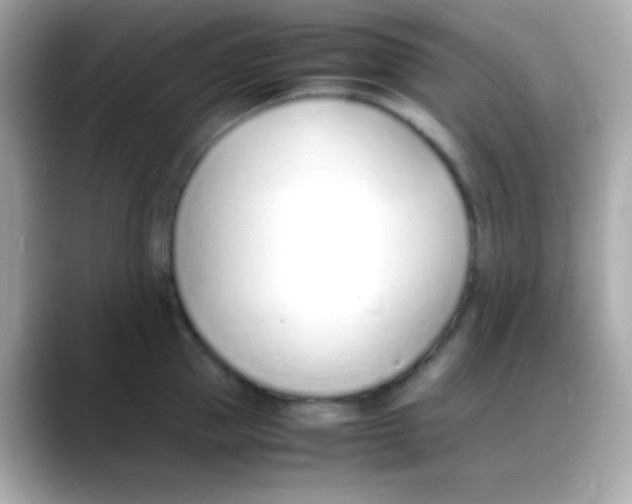 X0000088150953200706042026