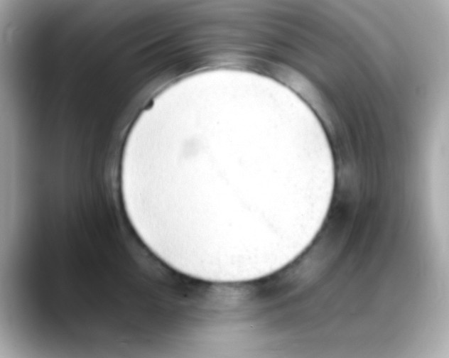 X0000088150954200706042026