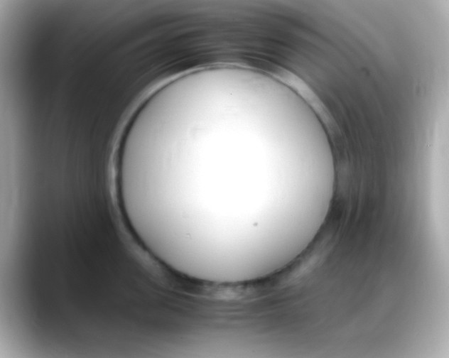 X0000088150955200706042026