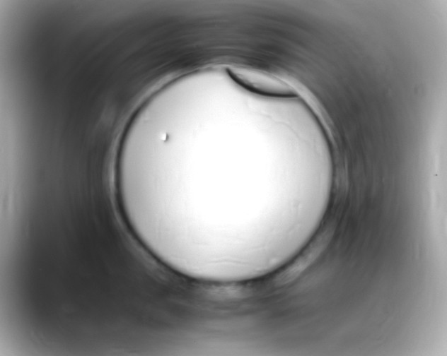 X0000088150957200706042026