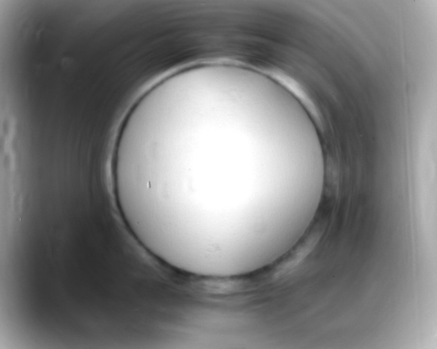 X0000088150959200706042026