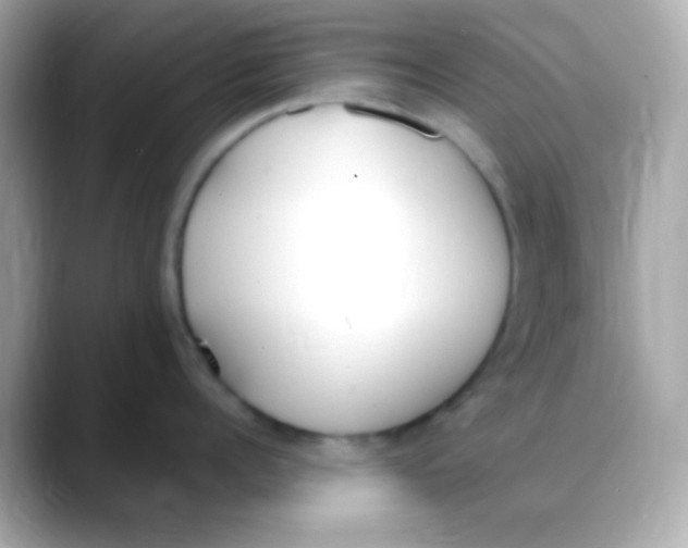 X0000088150960200706042026