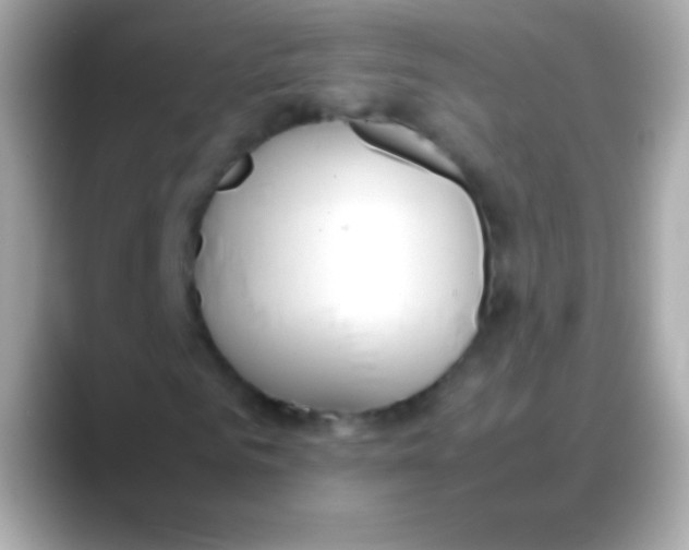 X0000088150961200706042026