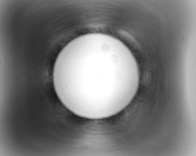 X0000088150966200706042026