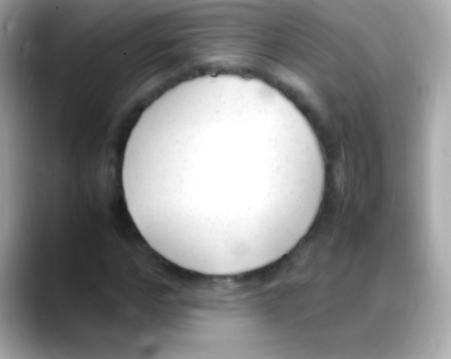 X0000088150968200706042026