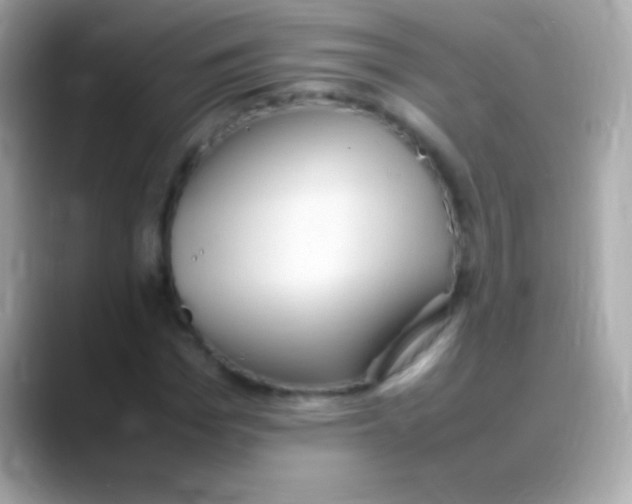 X0000088150969200706042026