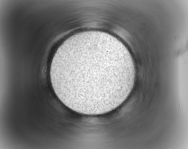 X0000088150971200706042026