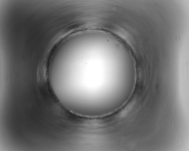 X0000088150973200706042026