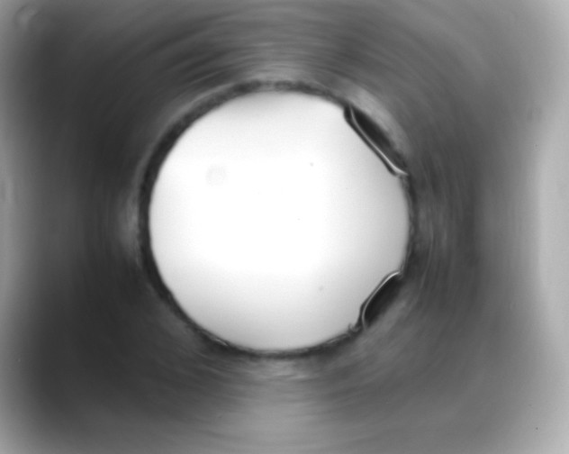 X0000088150976200706042026