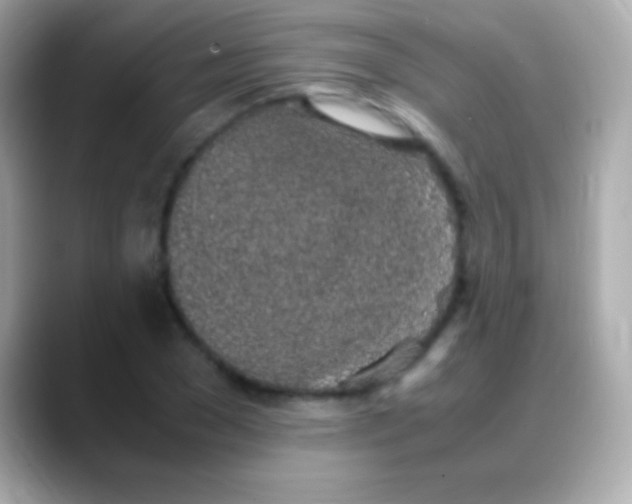 X0000088150977200706042025