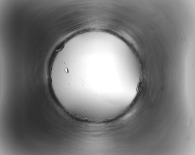 X0000088150981200706042025