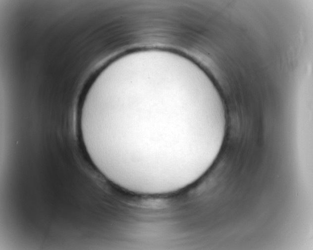 X0000088150982200706042025