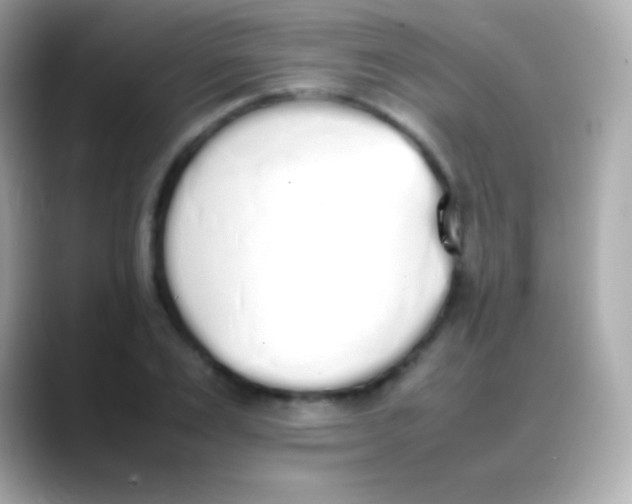 X0000088150983200706042025