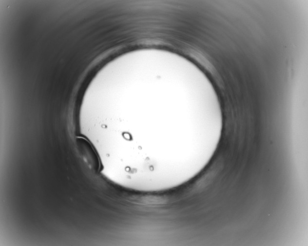 X0000088150984200706042025