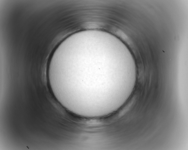 X0000088150986200706042025