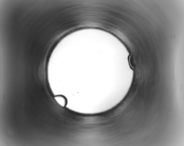 X0000088150988200706042025