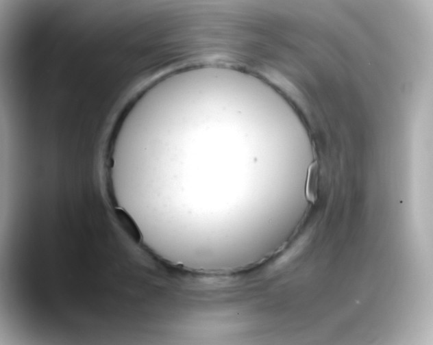 X0000088150989200706042025