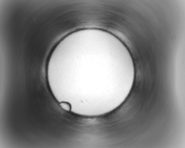 X0000088150990200706042025