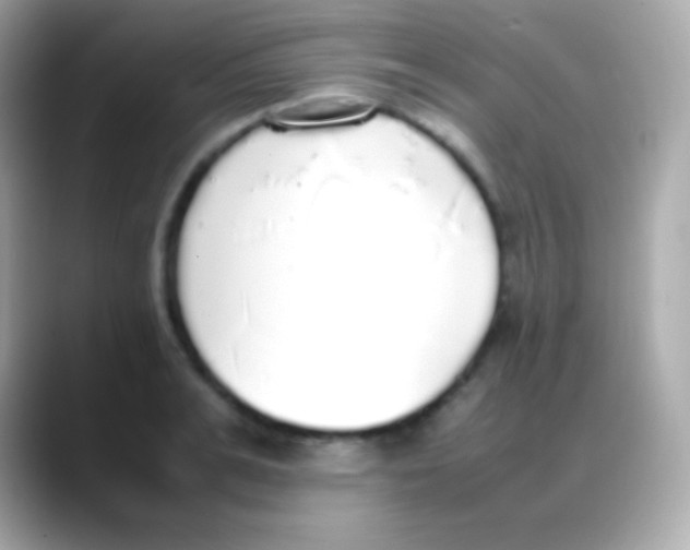 X0000088150991200706042025