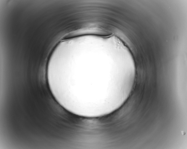 X0000088150994200706042025