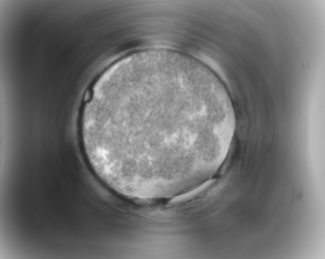 X0000088150995200706042025