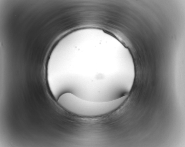 X0000088150996200706042025