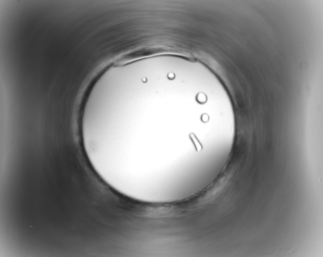 X0000088150997200706042025