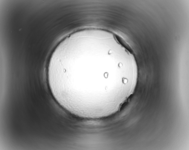 X0000088150998200706042025