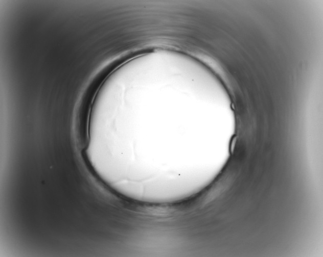 X0000088150999200706042025