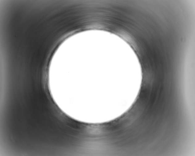 X0000088151000200706042025