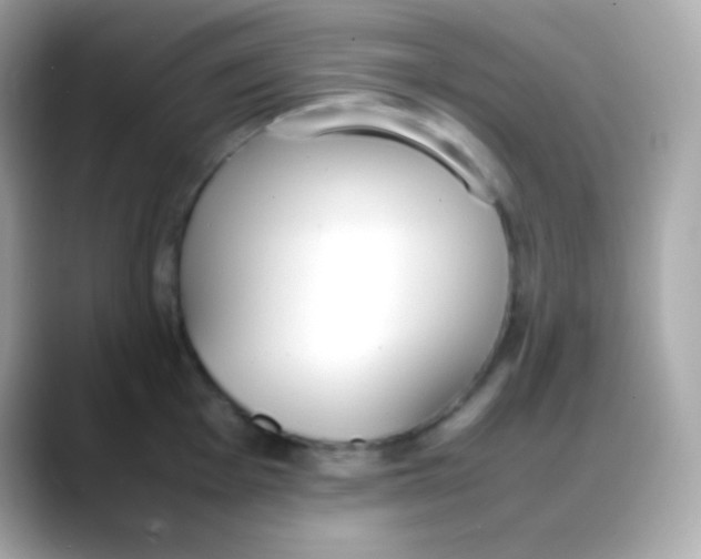 X0000088151001200706042025