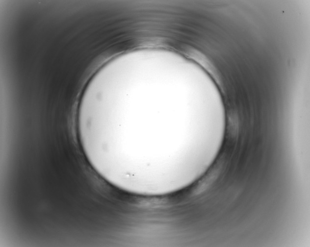 X0000088151002200706042025