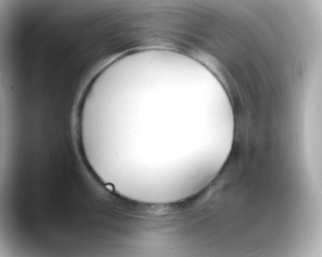 X0000088151003200706042025