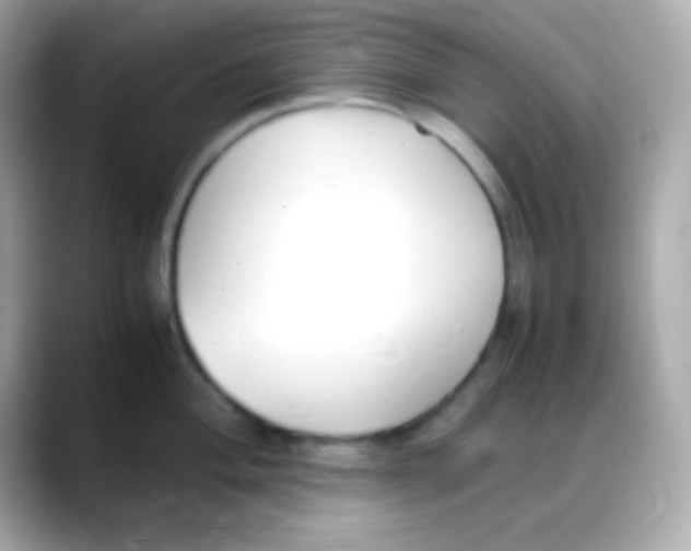 X0000088151004200706042025