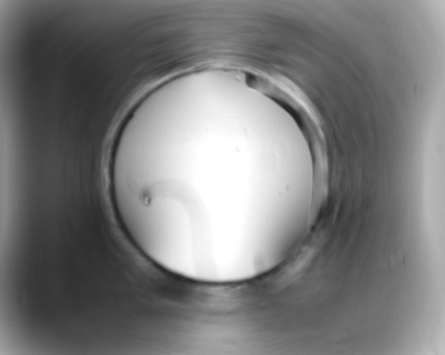 X0000088151005200706042025