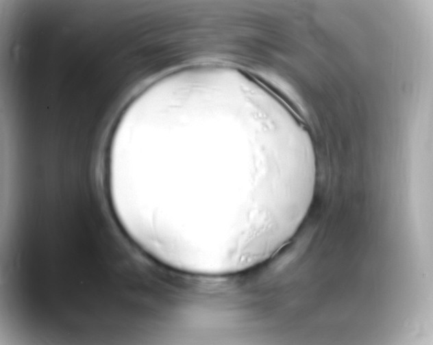 X0000088151007200706042025