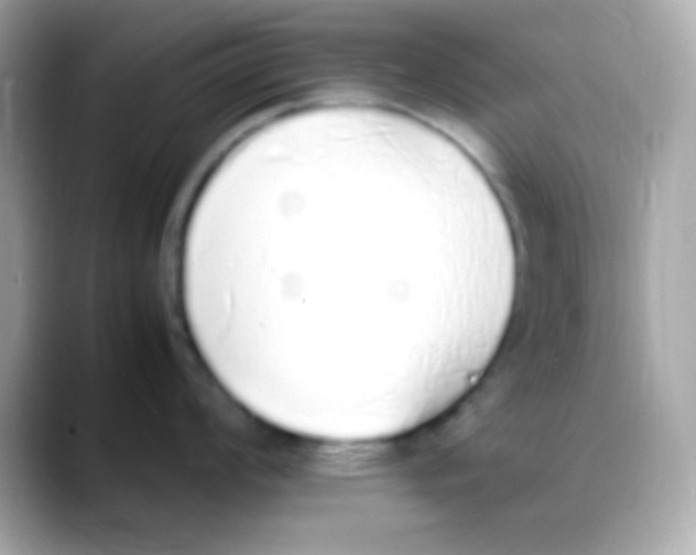 X0000088151008200706042025